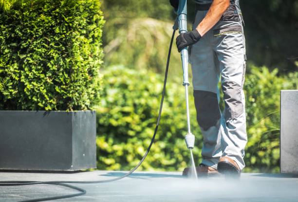 Best Animal Enclosure Cleaning  in New Brighton, PA