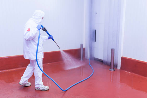 Best Building Exterior Washing  in New Brighton, PA