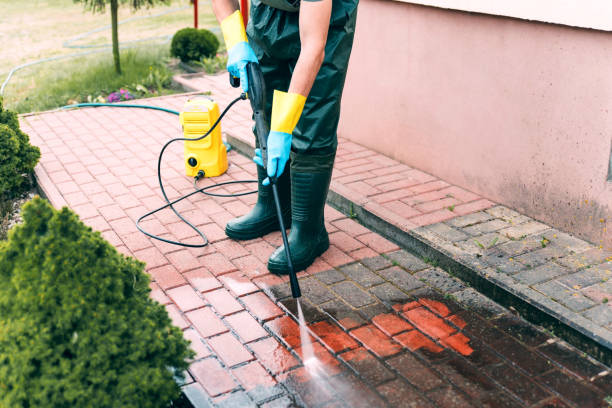 Animal Enclosure Cleaning in New Brighton, PA